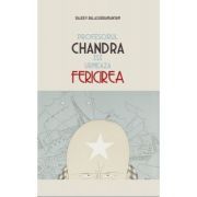 Profesorul Chandra isi urmeaza fericirea
