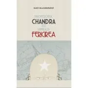 Profesorul Chandra isi urmeaza fericirea de Rajeev Balasubramanyam