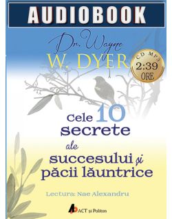 Audiobook - Cele 10 secrete ale succesului si pacii launtrice