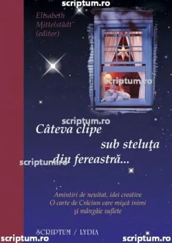 Cateva clipe sub steluta din fereastra de Elisabeth Mittelstadt