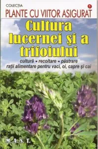 Cultura lucernei si a trifoiului