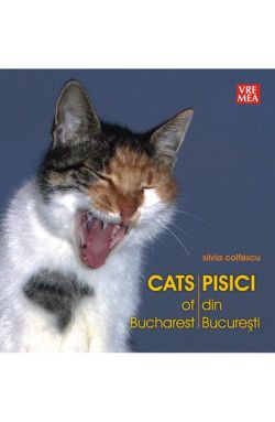 Pisici din București - Cats of Bucharest
