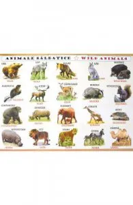 Plansa: Animale domestice de Animale salbatice