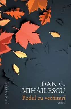 Podul cu vechituri de Dan C. Mihailescu
