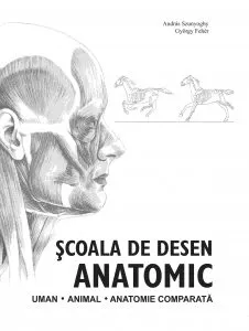 Scoala de desen anatomic de Andras Szunyoghy