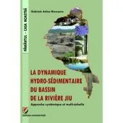 The Hydro-sedimentary dynamics of the Jiu River Watershed. A systemic and multi-scale approach de Gabriela Adina Morosanu