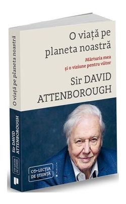 Geografie. Caiet de lucru pentru clasa a IV-a