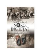 Noroi inghetat. Povestea unei evreice din Romania in valtoarea Holocaustului din Transnistria