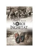 Noroi inghetat. Povestea unei evreice din Romania in valtoarea Holocaustului din Transnistria de Avital E. M. Baruch