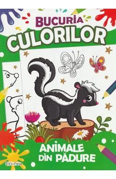 Bucuria culorilor.Animale din padure