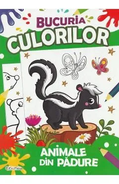 Bucuria culorilor.Animale din padure