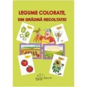 Legume colorate, din gradina recoltate! Set jetoane de Olivia Panait