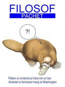 Pachet Filosof
