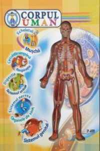 Corpul Uman