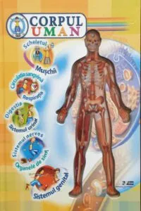 Corpul Uman