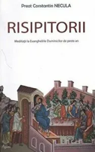 Martorii Invierii. Meditatii la evangheliile Duminicilor de peste an de Pr. Necula Constantin