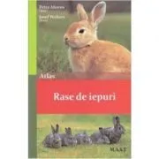 Rase de iepuri de Petra Ahrens
