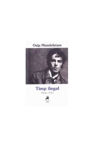 Timp ilegal