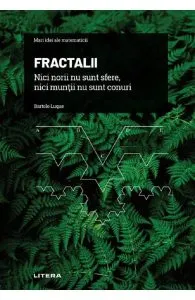 Mari idei ale matematicii. Fractalii