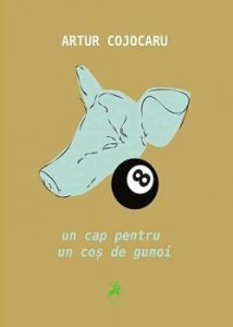 Un cap pentru un cos de gunoi