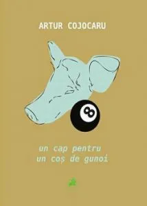 Un cap pentru un cos de gunoi de Artur Cojocaru
