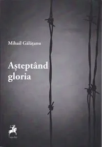 Așteptând gloria de Mihail Galatanu