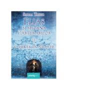 Elias si spioana Carturarilor 2. O torta in noapte