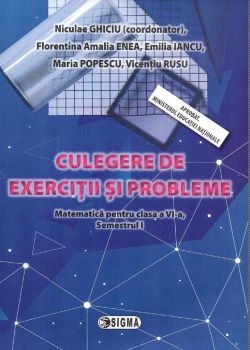 Matematica - Clasa 6 Sem.1 - Culegere de exercitii si probleme