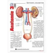 Pliant Anatomie 3 de Florica Mailat