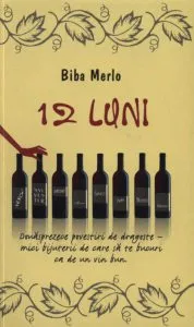 12 luni de Biba Merlo