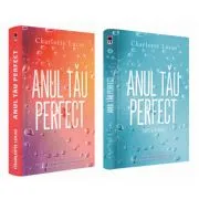 Anul tau perfect de Charlotte Lucas