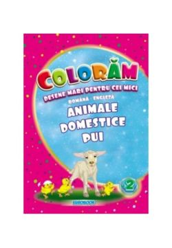 Animale domestice pui. Desene mari pentru cei mici română-engleză