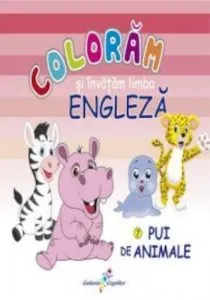 Coloram si invatam limba engleza, Pui de animale, Vol. 7 de Roxana Geanta