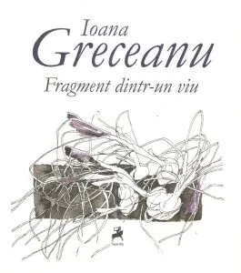 Fragment dintr-un viu de Ioana Greceanu