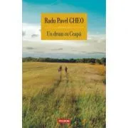 Un drum cu Ceapa. Clipuri si povesti de Radu Pavel Gheo