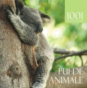 Pui de animale