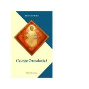 Ce este ortodoxia? de Anastasios Kallis