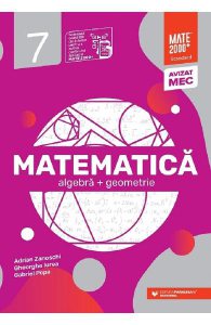 Matematica - Clasa 7 - Standard