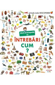 Mica enciclopedie cu intrebari. Cum?