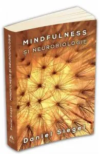 Mindfulness si neurobiologie de Daniel Siegel