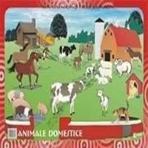 Sa cunoastem lumea. Lecturi dupa imagini de Zoe Ivanus
