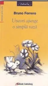 Uneori ajunge o simpla raza de Bruno Ferrero
