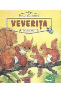 Animale salbatice in natura: Veverita de Renne