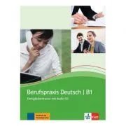 Berufspraxis Deutsch, Fertigkeitentrainer mit Audio-CD de Graziella Guenat