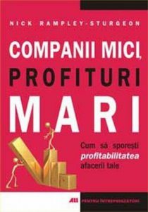 Companii mici, profituri mari. Cum sa sporesti profitabilitatea afacerii tale