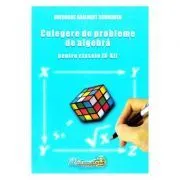 Culegere de probleme de algebra. Clasele 9-12 de Gheorghe Adalbert Schneider