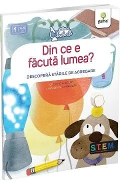 Din ce e facuta lumea? Descopera starile de agregare de David A. Adler