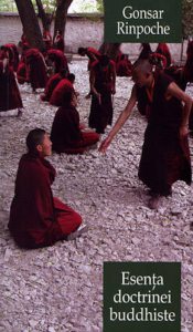 Esenta doctrinei buddhiste