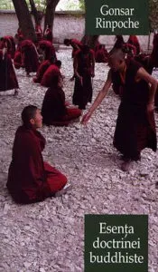 Esenta doctrinei buddhiste