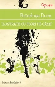 Ilustrate cu flori de camp de Brindusa Doca